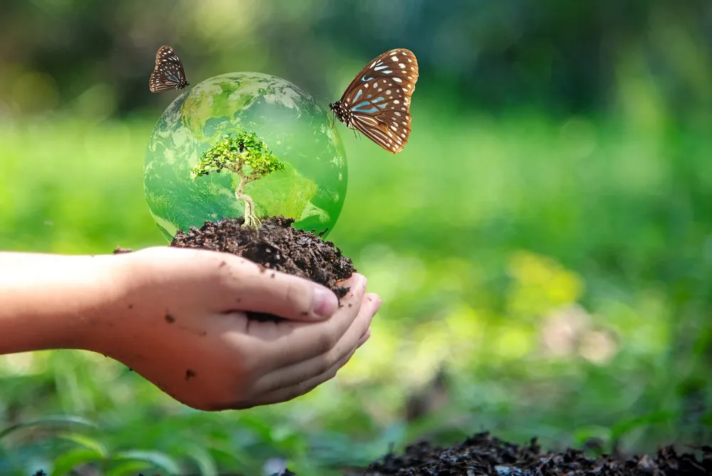 Environment and Biodiversity
